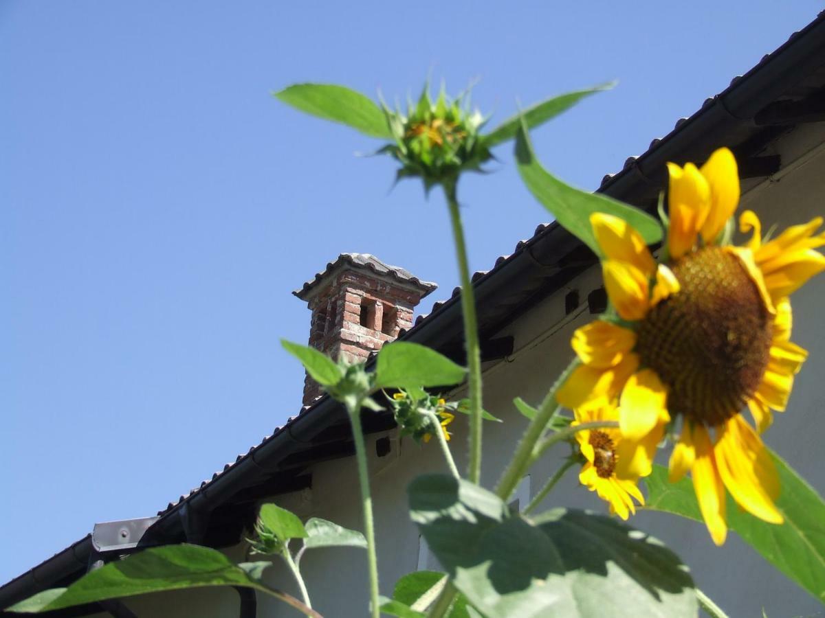 La Meridiana, Monolocale In Cascina Ristrutturata Boves Exterior photo